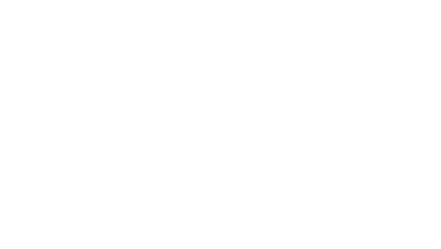 BK Automobile, catch your dream